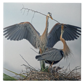 Beautiful Great Blue Heron Family (photo) Tile