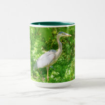 Beautiful great blue heron in the wild  mug