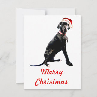 Beautiful Great Dane in Santa Hat  Card