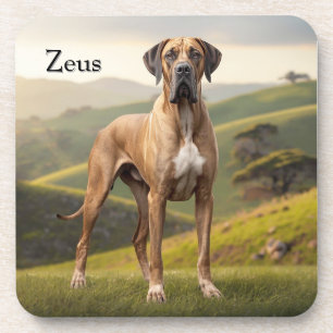 Beautiful Great Dane Personalised Coaster Set