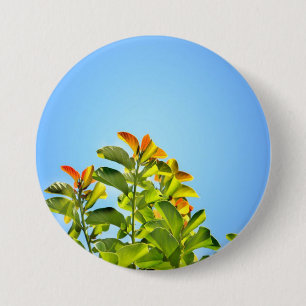 beautiful green and orange plant hugging a clear 7.5 cm round badge