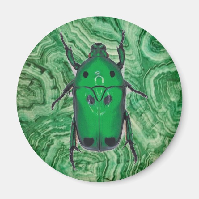 Beautiful Green Beetle On Malachite Magnet (Front)