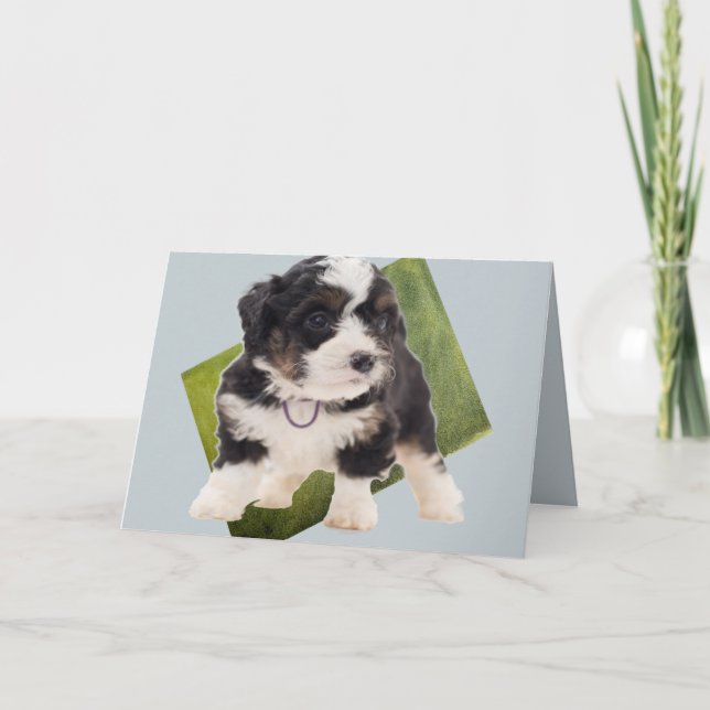 Beautiful Green Bernedoodle Puppy Art  Card (Front)