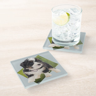 Beautiful Green Bernedoodle Puppy Art Glass Coaster