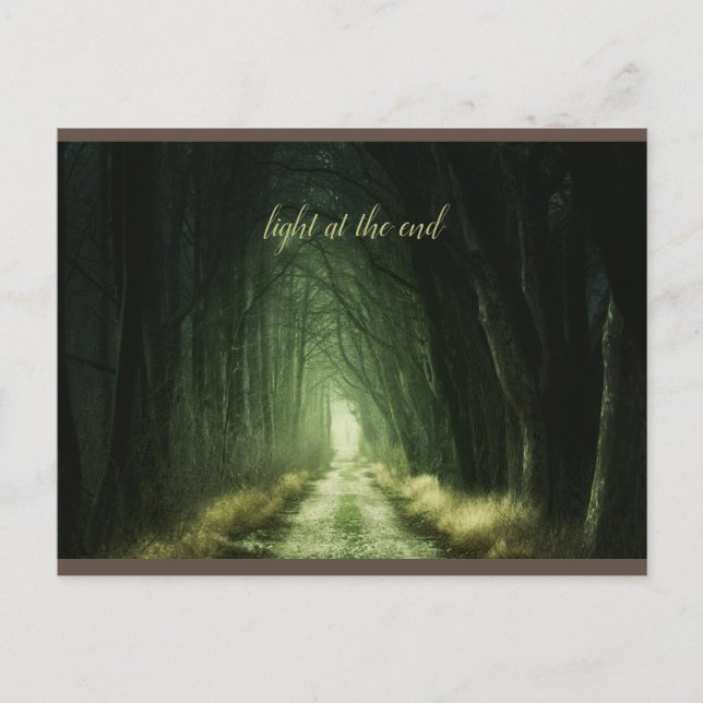Beautiful Green Dark Forest  Postcard (Front)