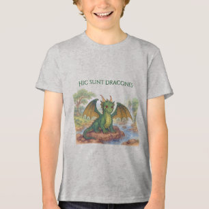 Beautiful green dragon Tri-Blend shirt