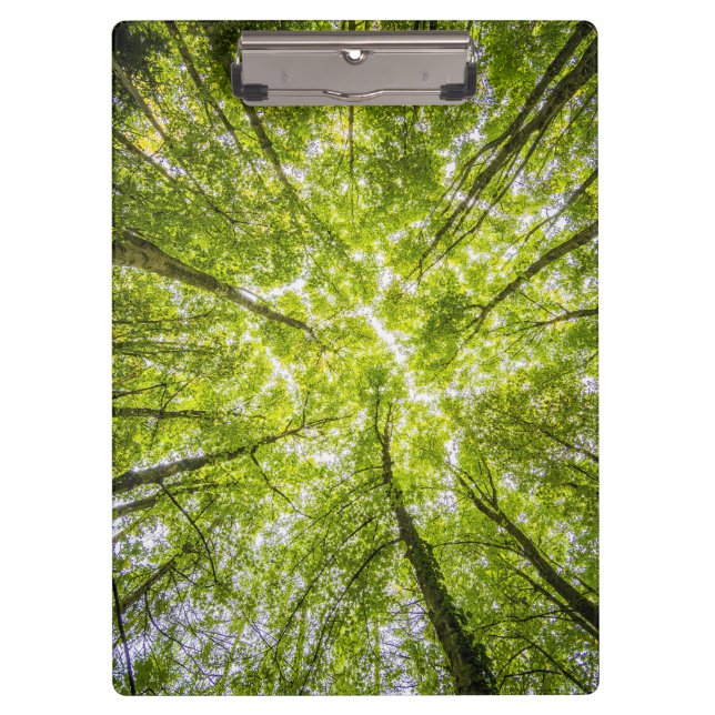 Beautiful Green Forest Clipboard (Front)