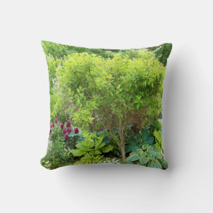 Beautiful Green Garden Landscape with Hostas Cushion