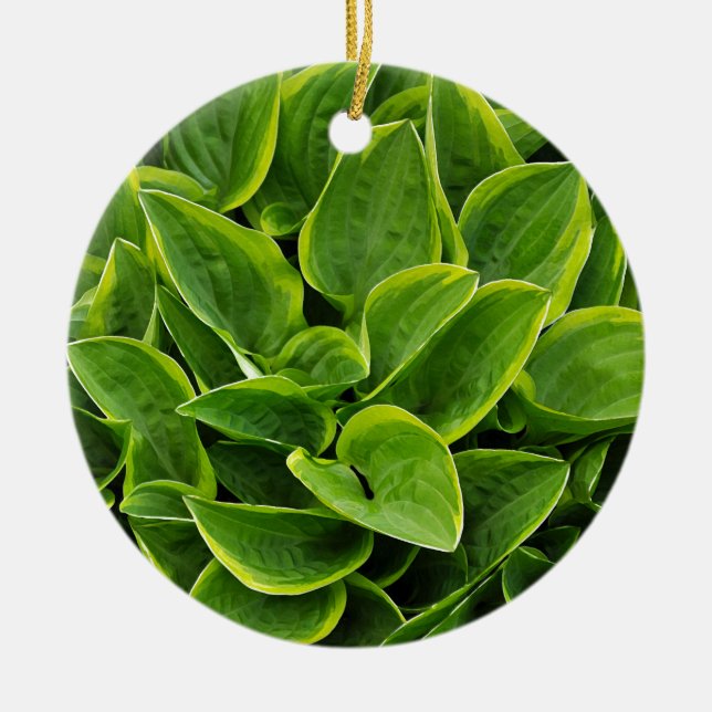 Beautiful green hosta plant ceramic tree decoration (Front)