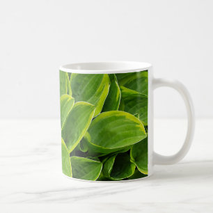 Beautiful green hosta plant coffee mug