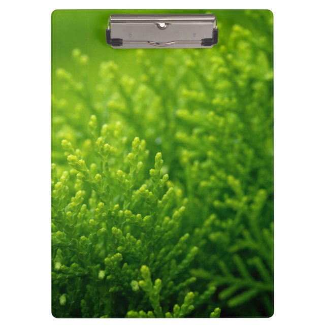 Beautiful green leaves background clipboard (Front)