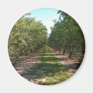 Beautiful Green Neverending Orchard Row Magnet
