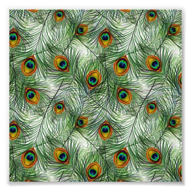 Beautiful Green Peacock Feather Photo Print (Front)