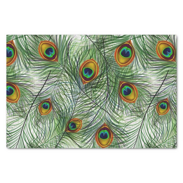 Beautiful Green Peacock Feather Tissue Paper | Zazzle.co.uk