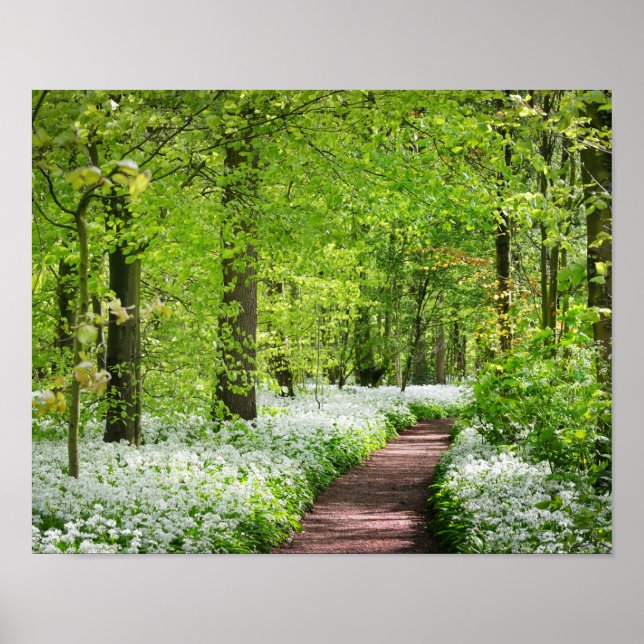 Beautiful Green Springtime Forest Photo Poster (Front)