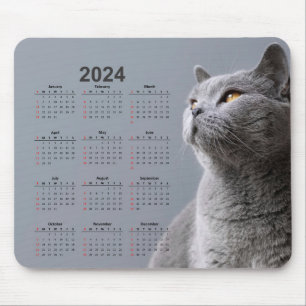 Beautiful Grey Cat 2024 Calendar Mouse Pad
