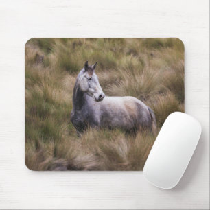 Beautiful Grey Coloured Horse Mouse Mat