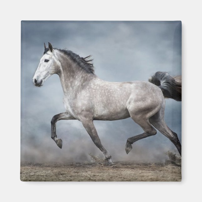 Beautiful Grey Horse Dramatic Sky Sandy Landscape Magnet (Front)