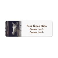 Beautiful Grey Mare Horse Return Address Labels