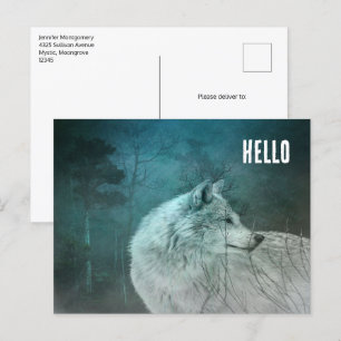 Beautiful Grey Wolf in a Dark Forest Postcard