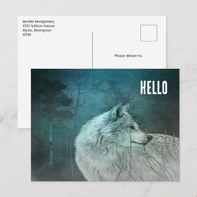 Beautiful Grey Wolf in a Dark Forest Postcard (Front/Back)