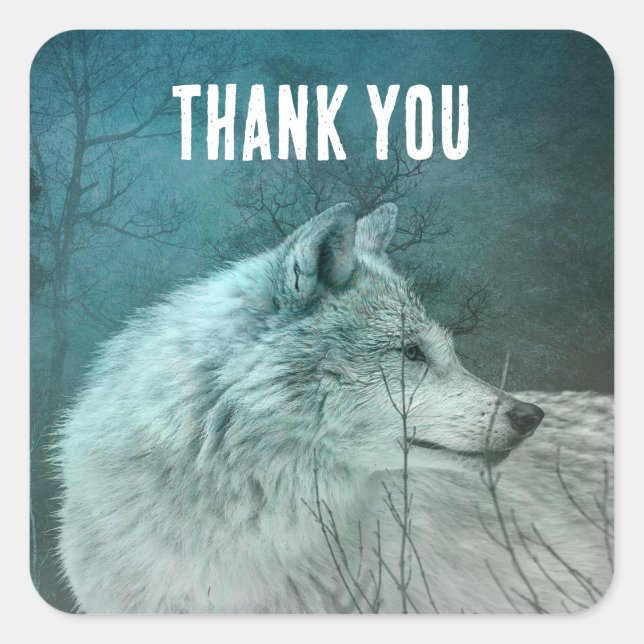 Beautiful Grey Wolf in a Dark Forest Thank You Square Sticker (Front)