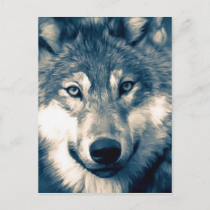 Beautiful Grey Wolf Woodland Animal Postcard