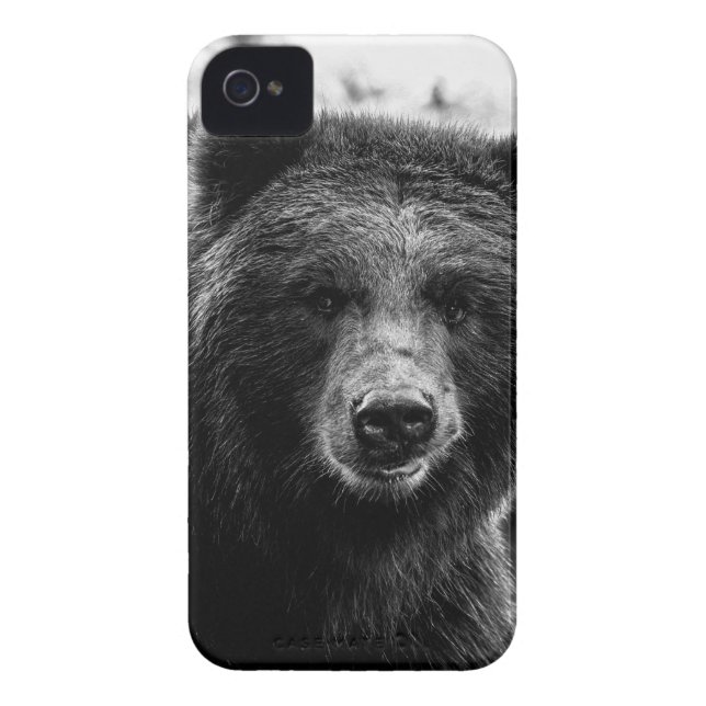 Beautiful Grizzly Bear Photo Case-Mate iPhone Case (Back)