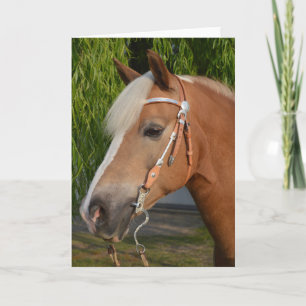 Beautiful haflinger horse portrait card