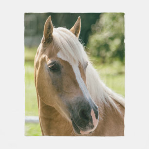 Beautiful haflinger horse portrait fleece blanket