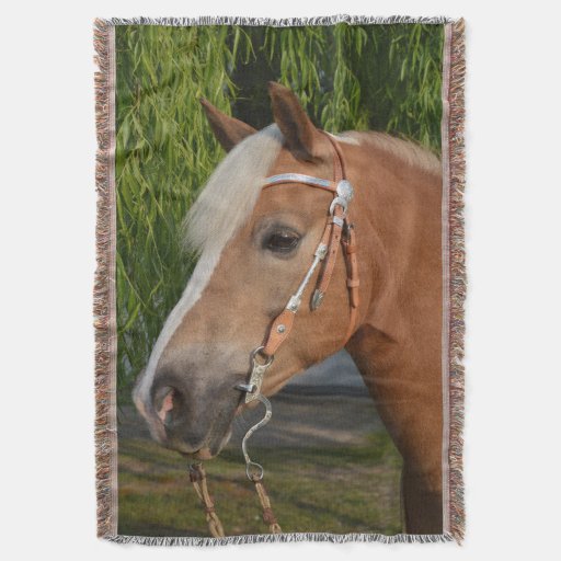 Image of Beautiful haflinger horse portrait Throw Blanket