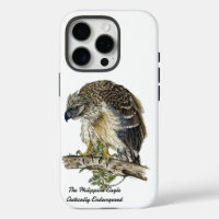 Beautiful Hand-Painted Endangered Eagle