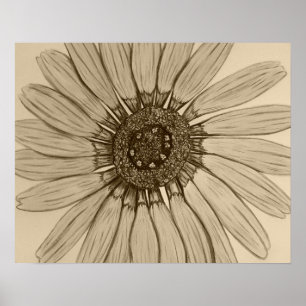 Beautiful hand sketched Flower Poster