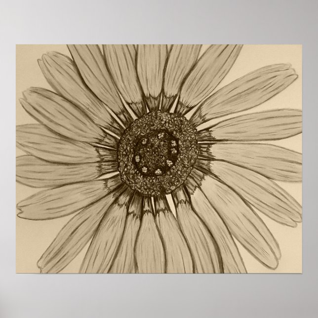Beautiful hand sketched Flower Poster (Front)