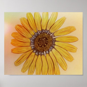 Beautiful hand sketched Flower Poster