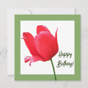 Beautiful Happy Birthday pretty red tulip floral Card