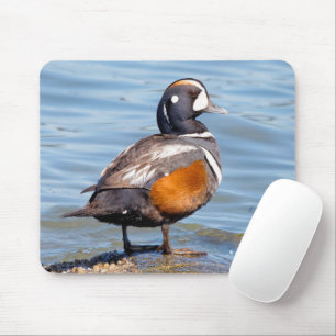 Beautiful Harlequin Duck on the Rock Mouse Mat