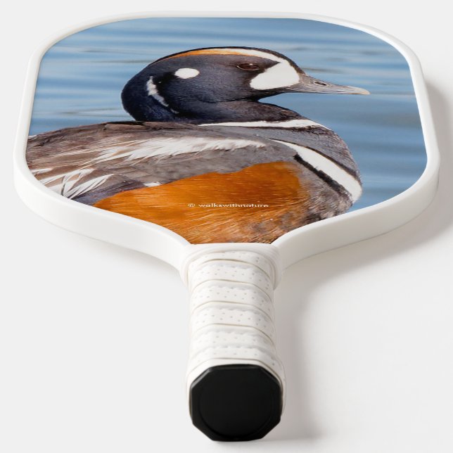 Beautiful Harlequin Duck on the Rock Pickleball Paddle (Laydown)