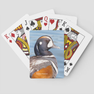 Beautiful Harlequin Duck on the Rock Playing Cards