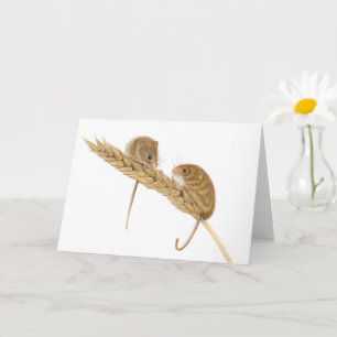 Beautiful Harvest Mice  Card