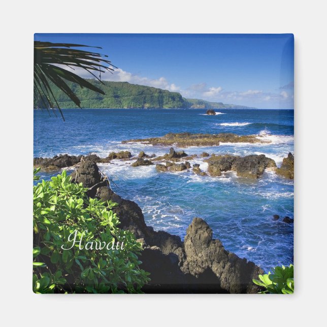 Beautiful Hawaii (labelled) Magnet (Front)