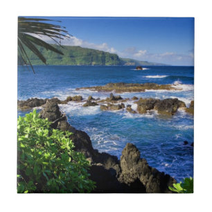 Beautiful Hawaii Tile