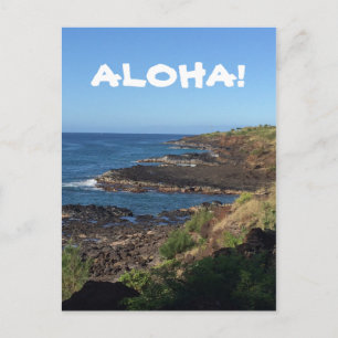 Beautiful HAWAIIAN Postcard