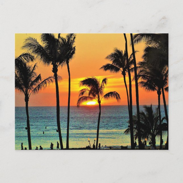 Beautiful Hawaiian Sunset Postcard (Front)
