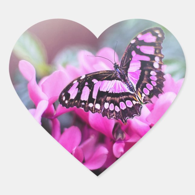 Beautiful  heart sticker (Front)