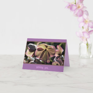 Beautiful Hellbore Flower Birthday Card