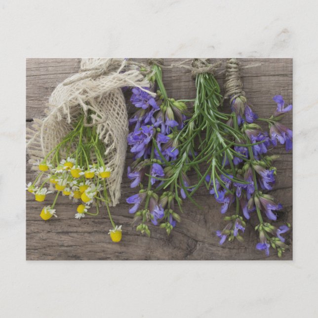 beautiful herbal background postcard (Front)
