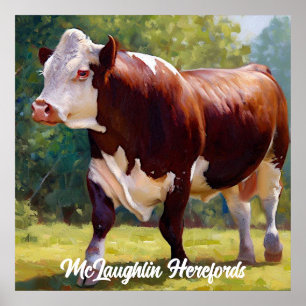 Beautiful Hereford Bull Poster