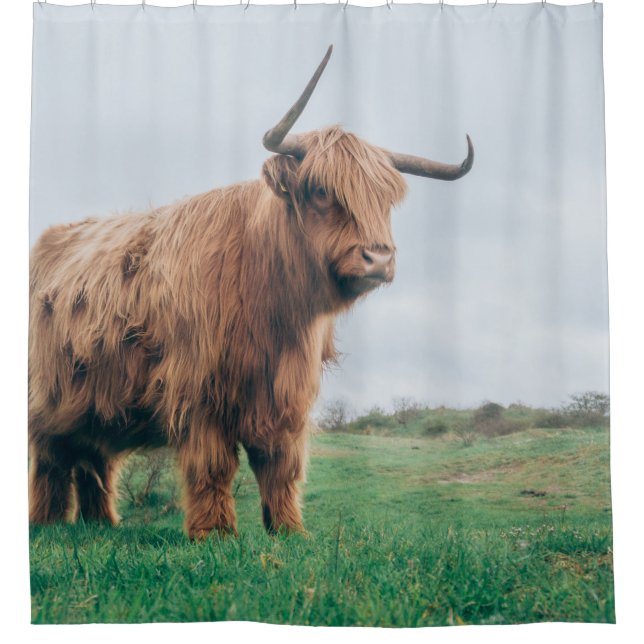 BEAUTIFUL HIGHLAND CATTLE SHOWER CURTAIN (Front)