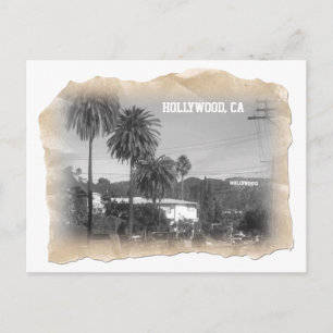 Beautiful Hollywood Postcard! Postcard